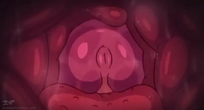 Deepthroat Loop X-Ray (ZonkPunch)