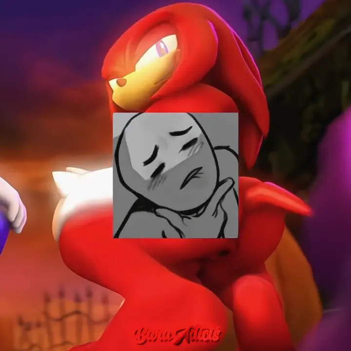 Sonic and knuckles - porn edits