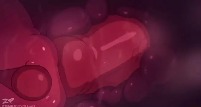 Knotting Pussy X-Ray (ZonkPunch)