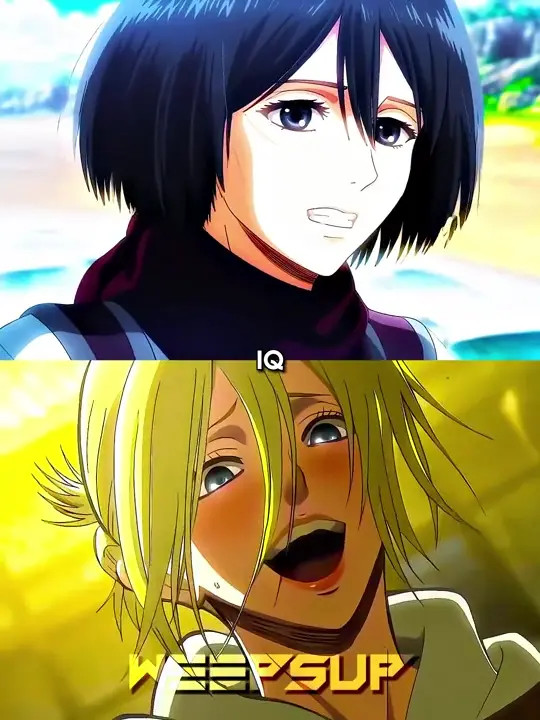 Annie VS Mikasa [WIS]