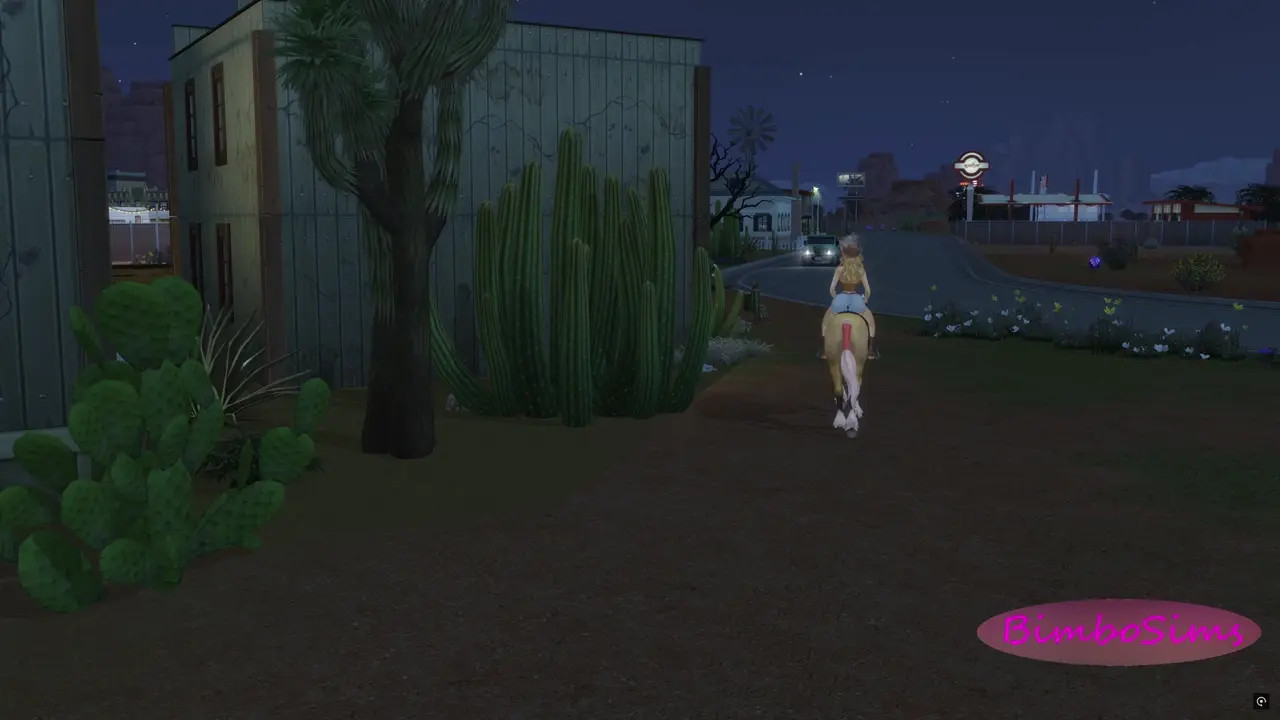 Dusk and fuck in the town