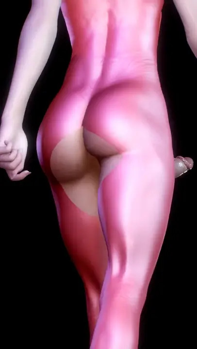 Astolfo Walk & Wiggle (rear view)