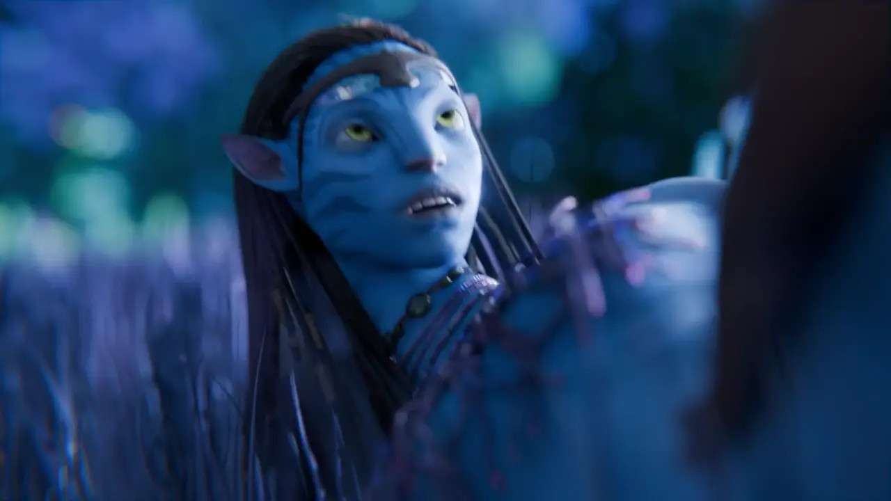 AVATAR and the human whoi have the privilege