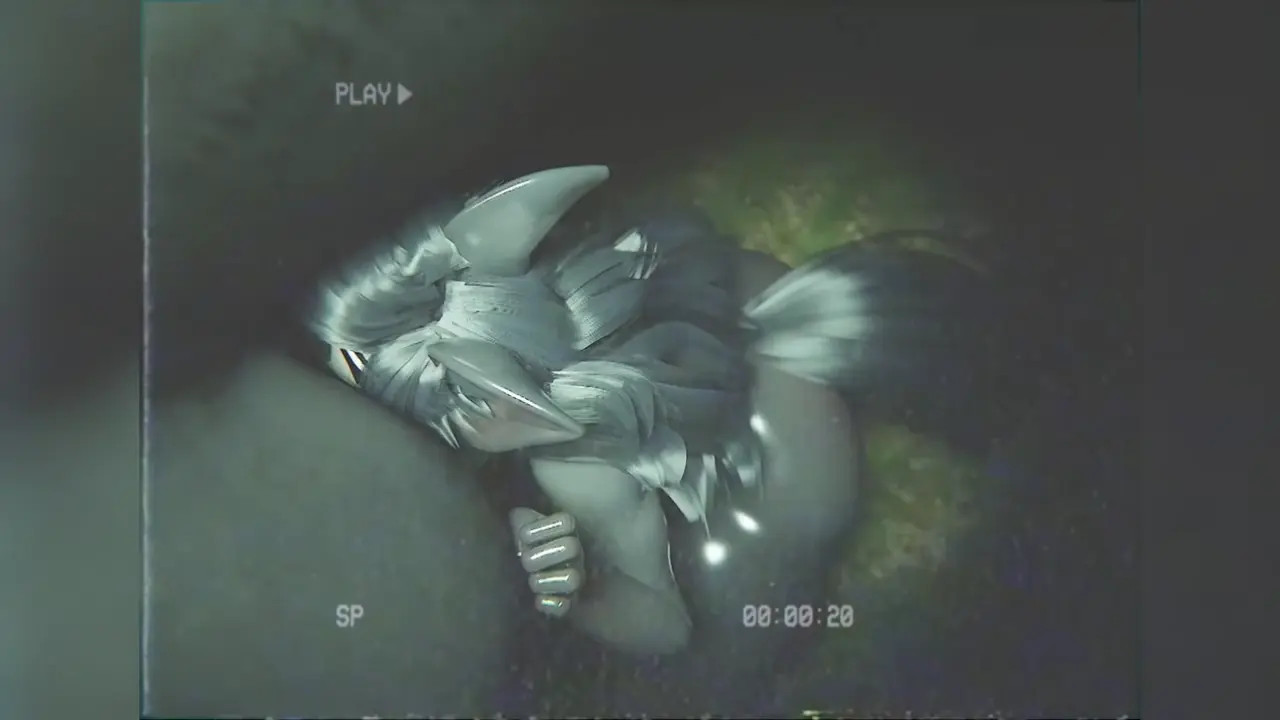 Bellyfulls [HMV]