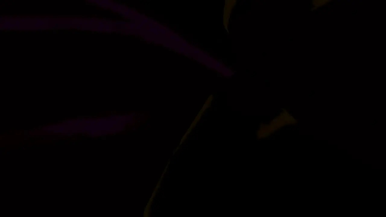 VRCHAT Duo Nude Cyber Women Facesitting POV
