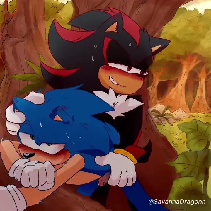 Shadow and Sonic [SavannaDragonn]