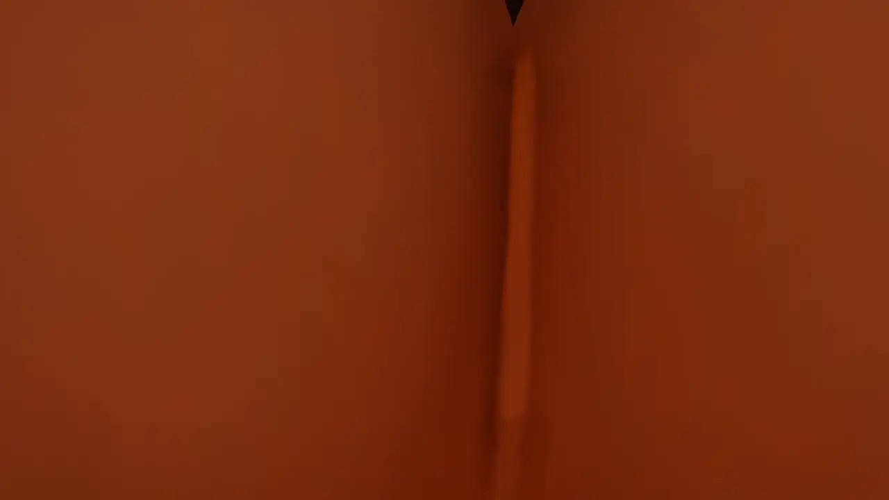VRCHAT Nude Amanda Facesitting POV