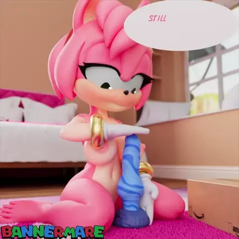 Amy's toy