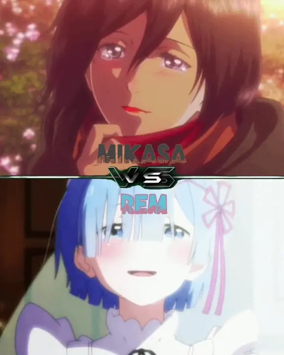 Rem vs Mikasa | WIS