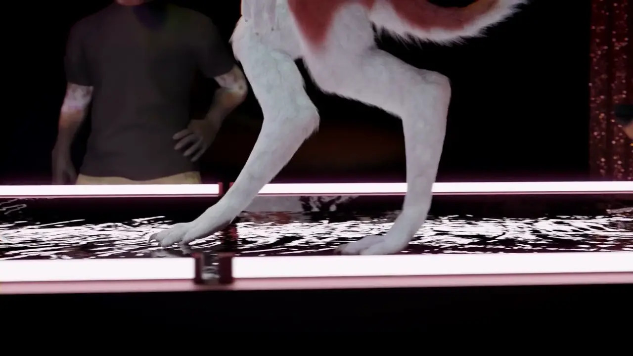 Pole dance origine