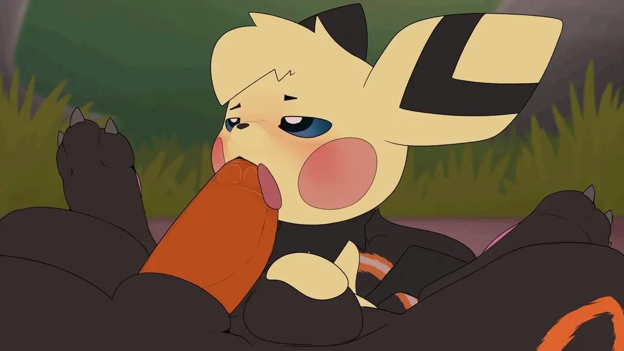 Pichu succ