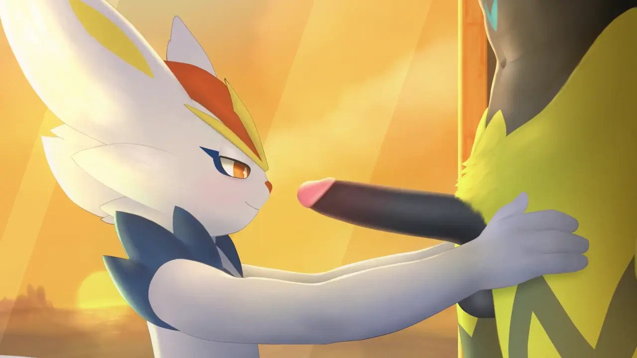 Cinderace ＆ Zeraora