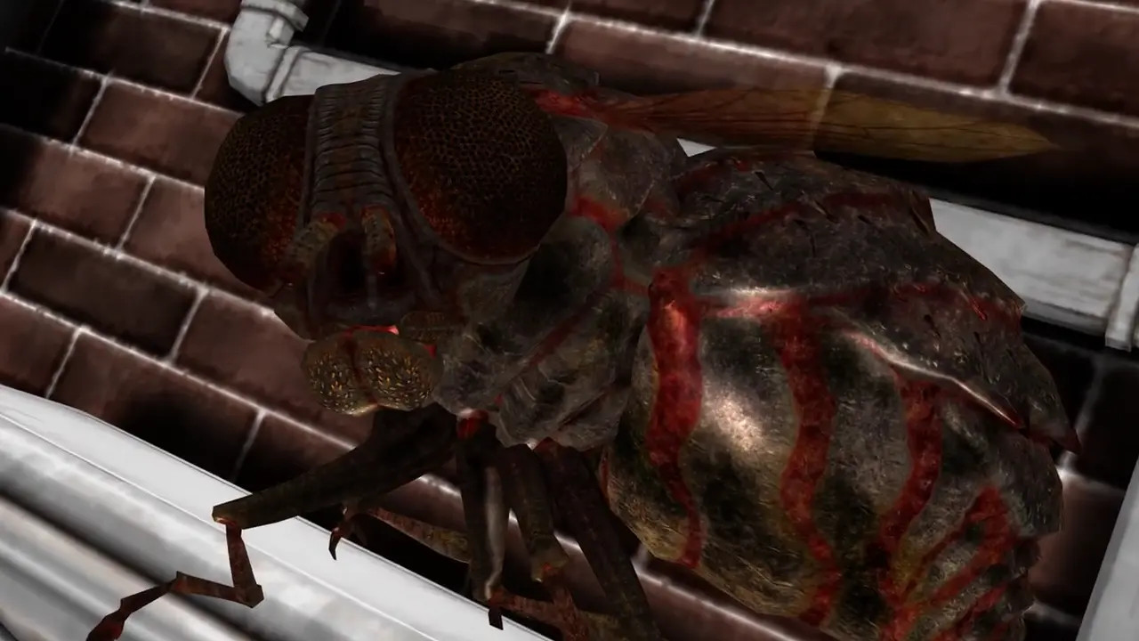 Insect Sex