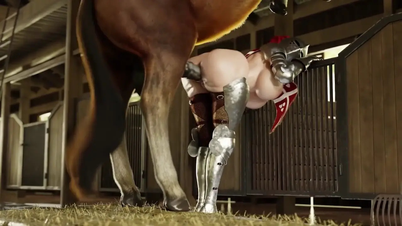 Horse Compilation