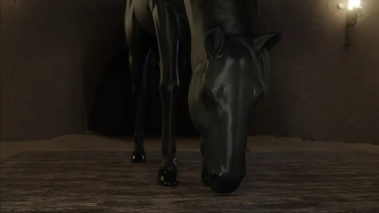 Lara with Horse - 1 (Abandoned)