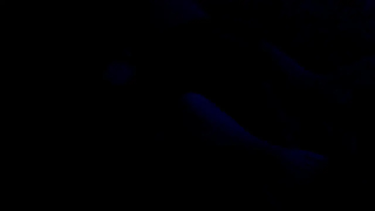 Sonic and Wave Night Sex [saucereturns]