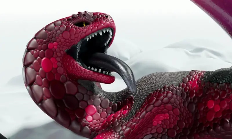 Naga's Solo