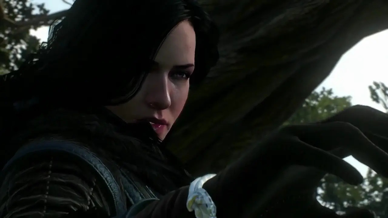 WITCHER COMPILATION