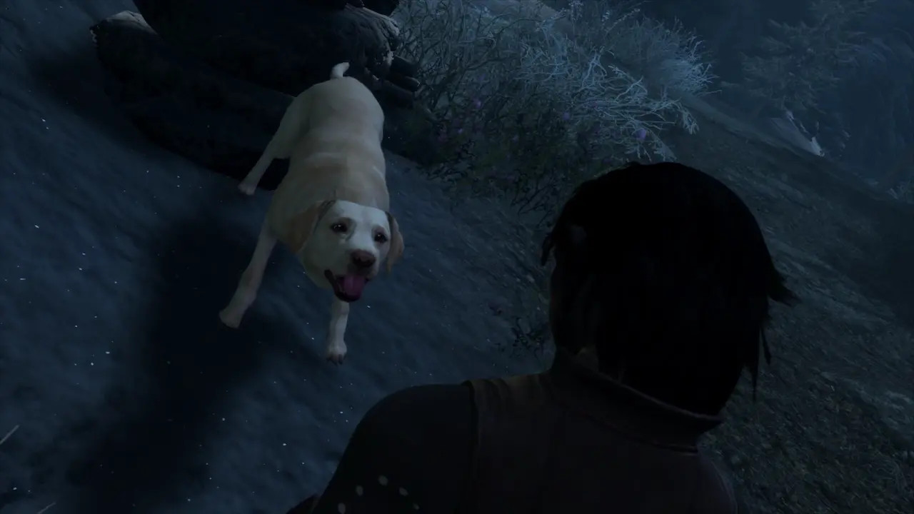 A Daedra's Best Friend Part 2