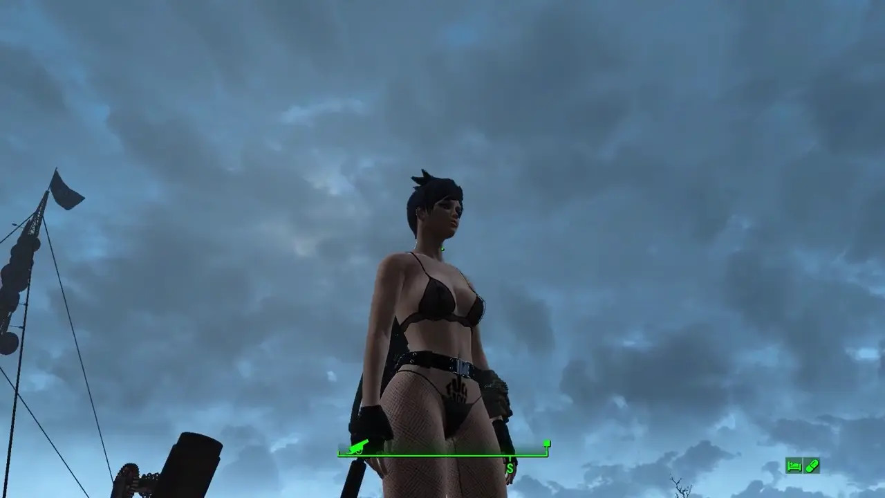 Fallout 4 Sex Edition Trailer