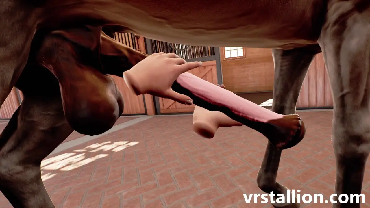 Stallion Handjob | VR Stallion 2.1 Gameplay