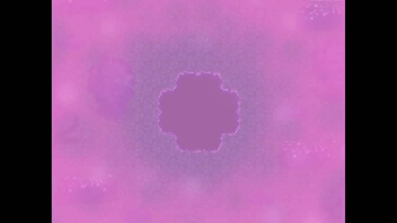 The Three Charms LS Gallery #54
