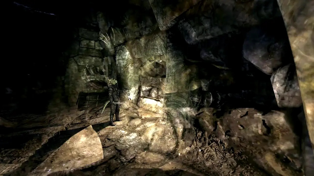 The Argonian Thief
